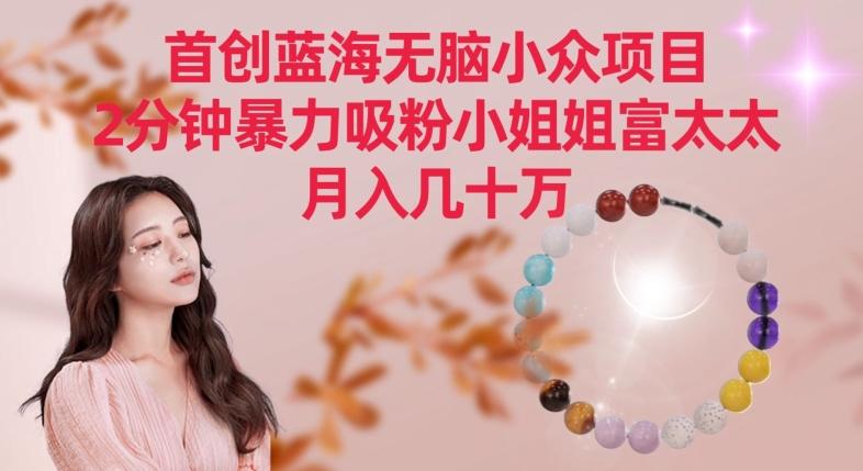 首创蓝海无脑小众项目，2分钟暴力吸粉小姐姐富太太，月入几十万【揭秘】-男爵娱创[知识付费]